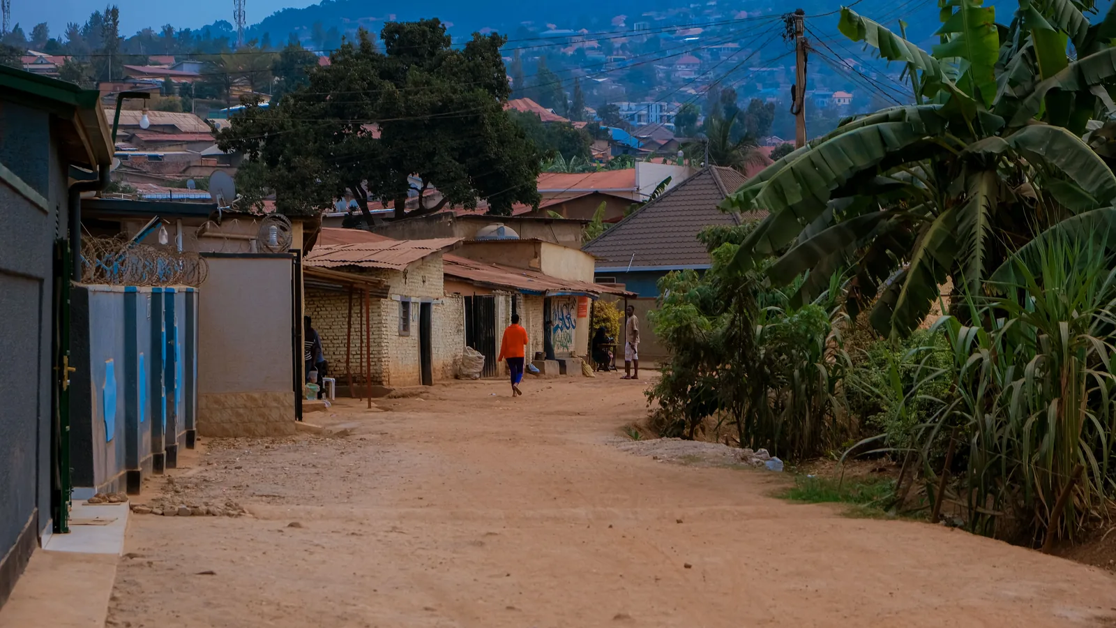 Rue en terre dans un quartier résidentiel avec des maisons modestes et des bananiers