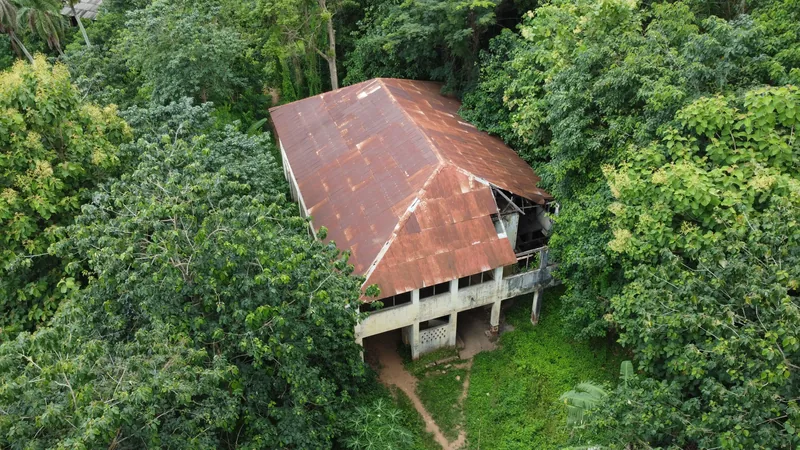 Vue aérienne d'une maison au toit de tôle rouillé entourée de végétation tropicale dense.