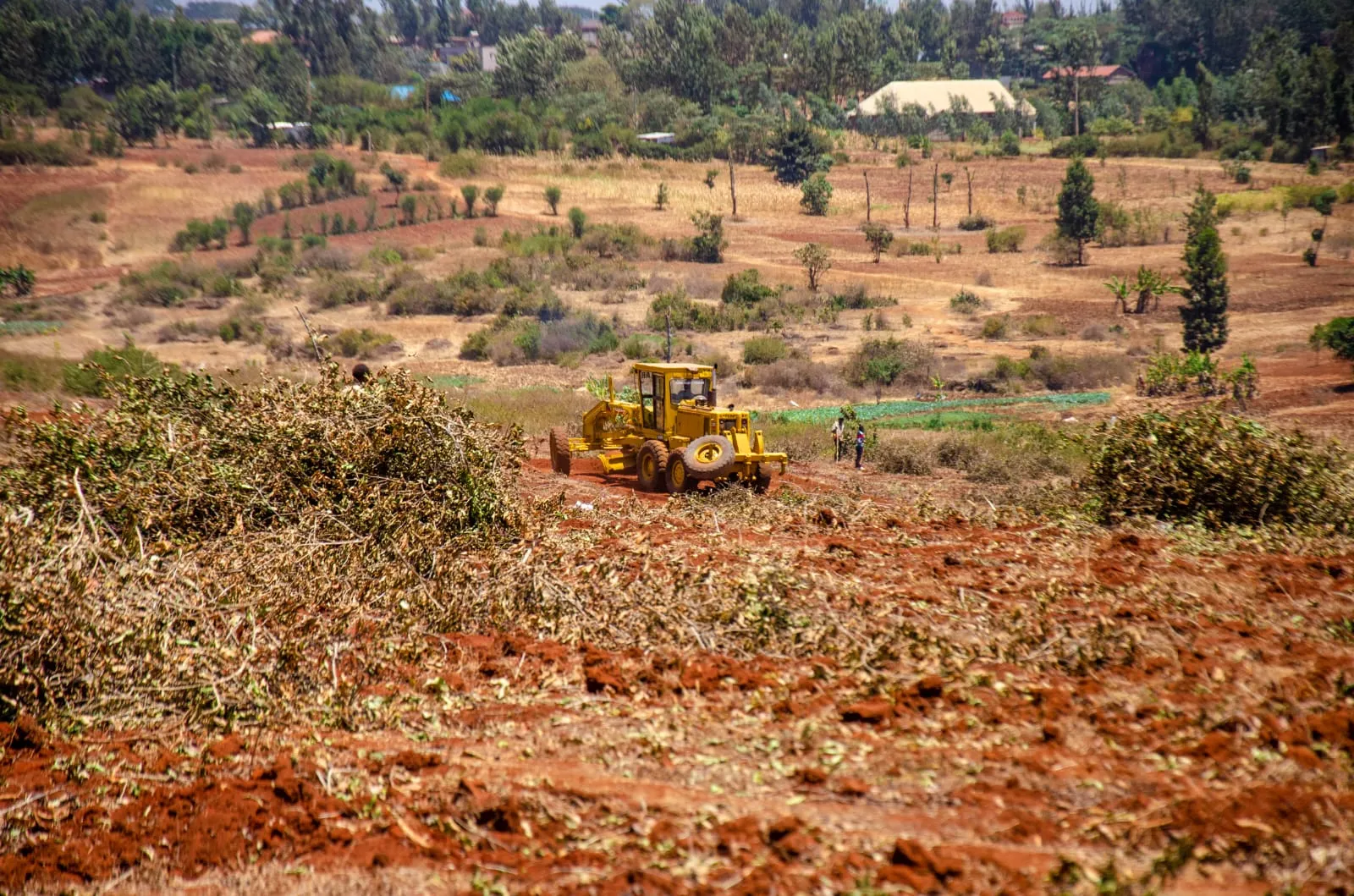 Plots for Sale Carol Njama
