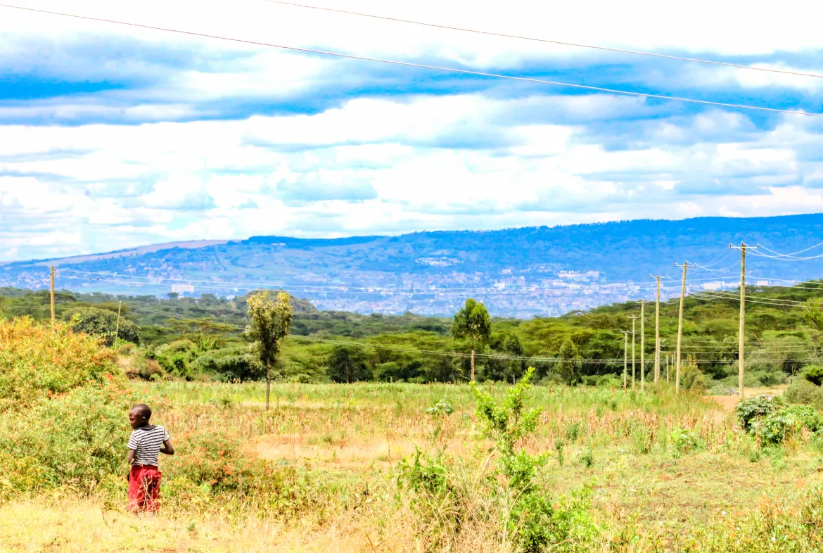 Citrus Grove Estate – Secure 1/8th Acre Plots Near Lake Nakuru — NAKURU