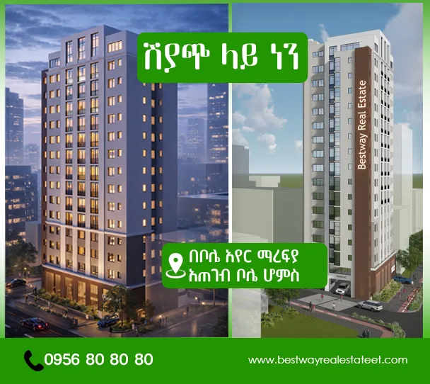 Bole Homes - One Bedroom Apartment — Addis Ababa