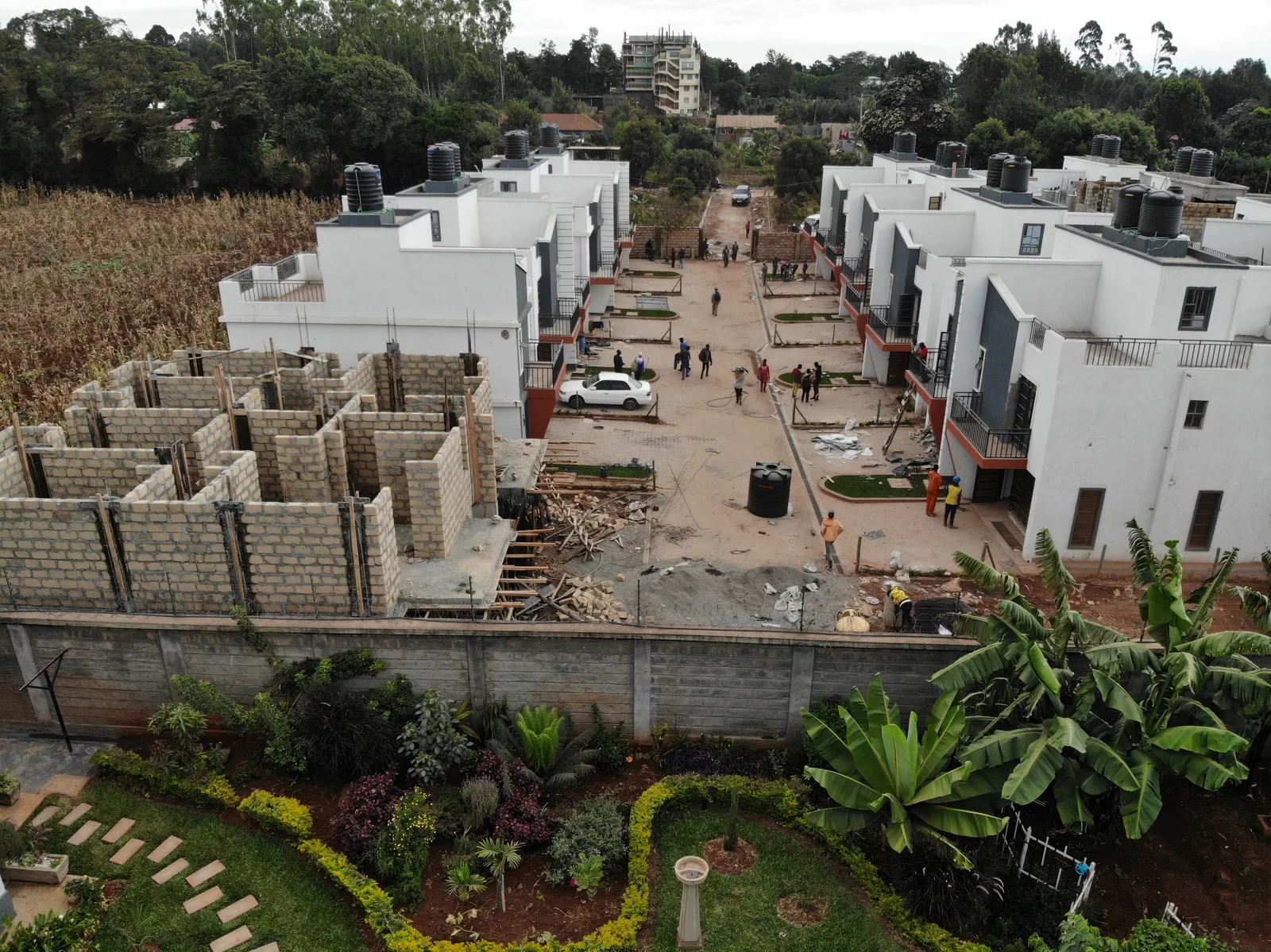 Ananda Estate Kikuyu — Kikuyu