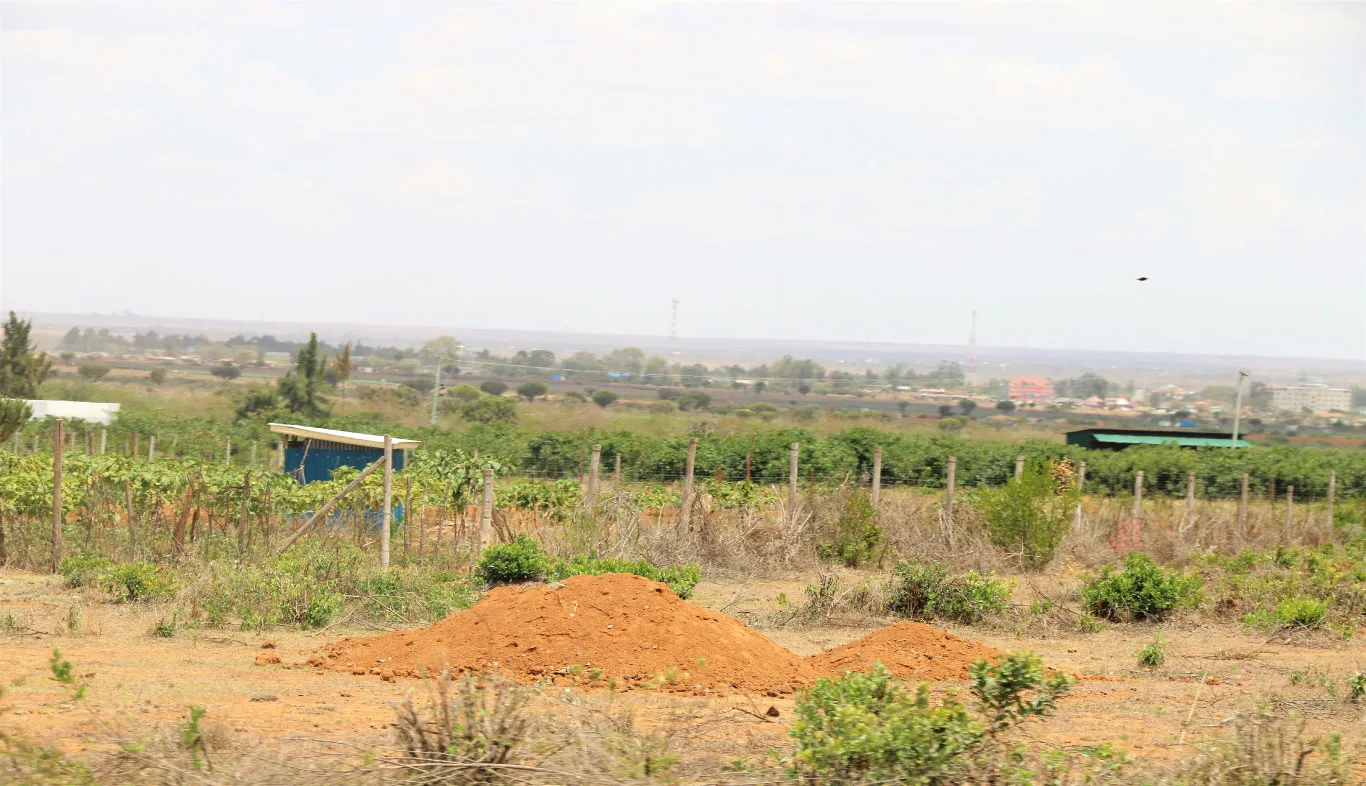 Oak Wood Estate – Prime Investment Opportunity