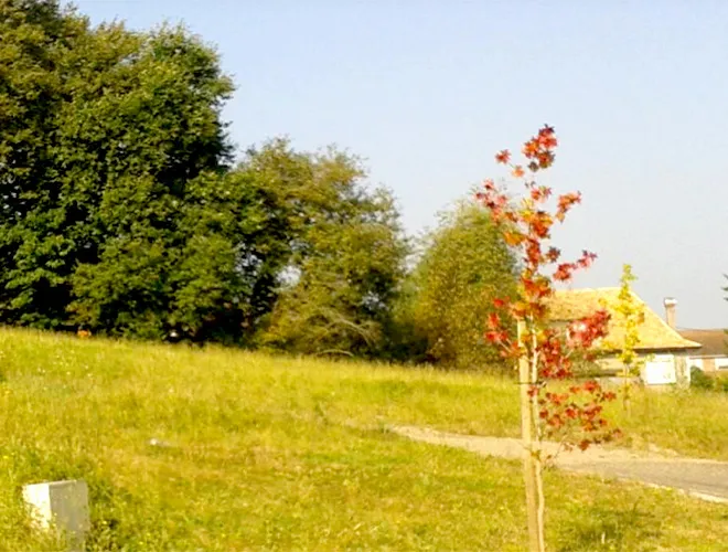 LES HAUTS DU GAVE