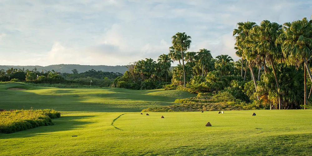 Avalon Golf Estate — Ebene