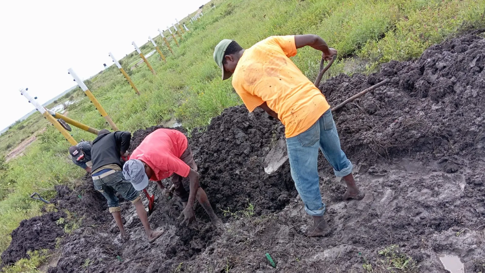 Crystal Garden – Konza Phase 1