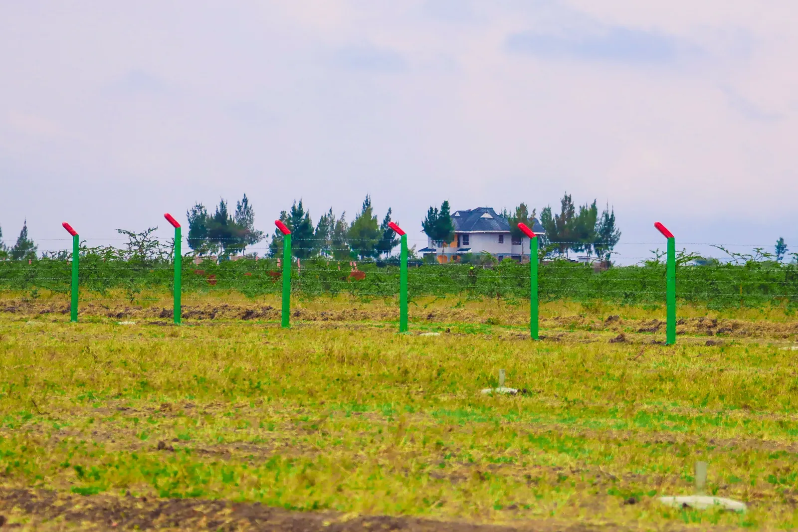 PLOTS FOR SALE IN JOSKA 595K (JOSKA PHASE 33)