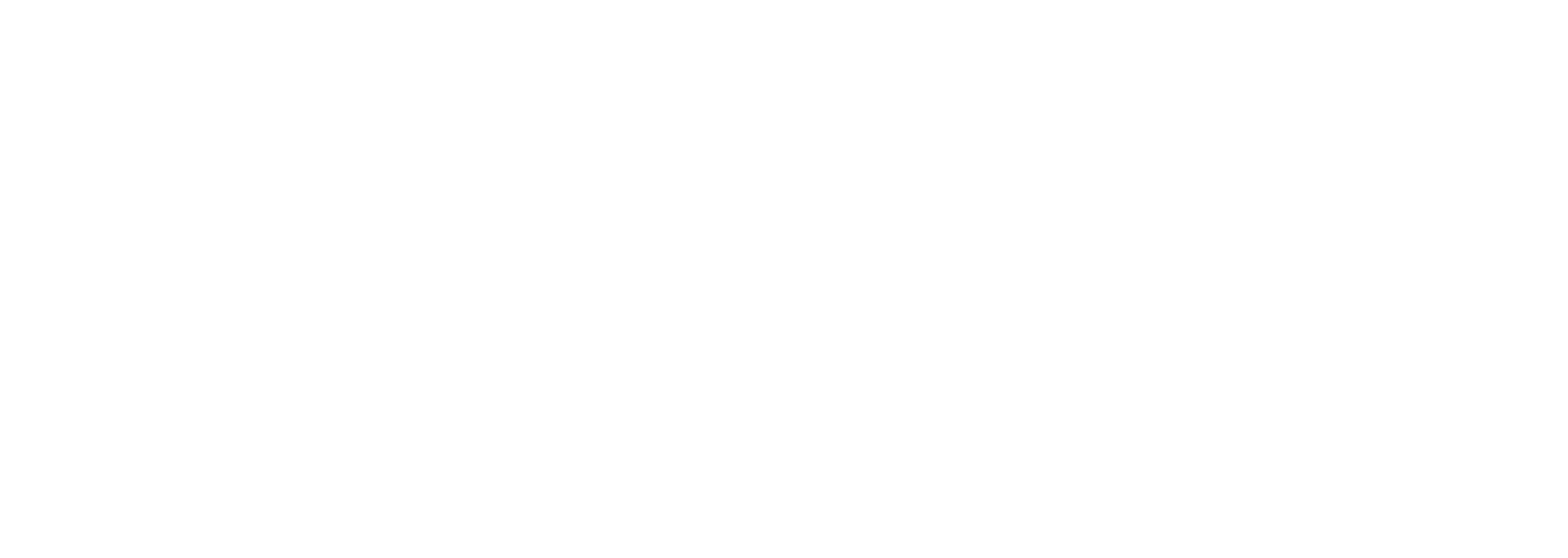 Salt Marina – logo
