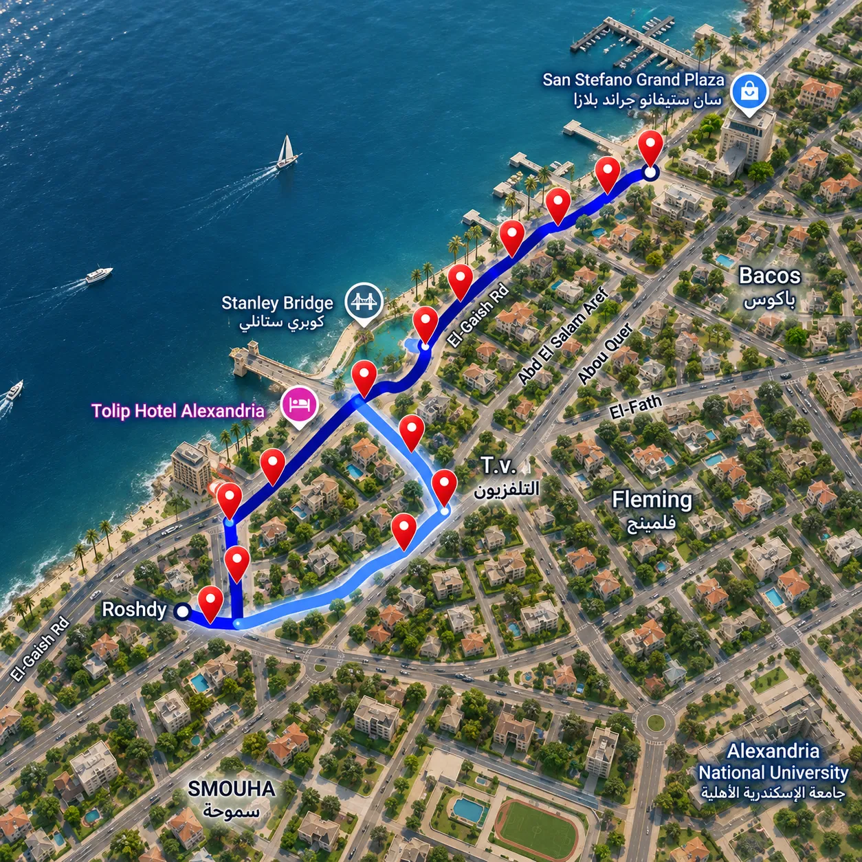 Alexandria Projects — Alexandria