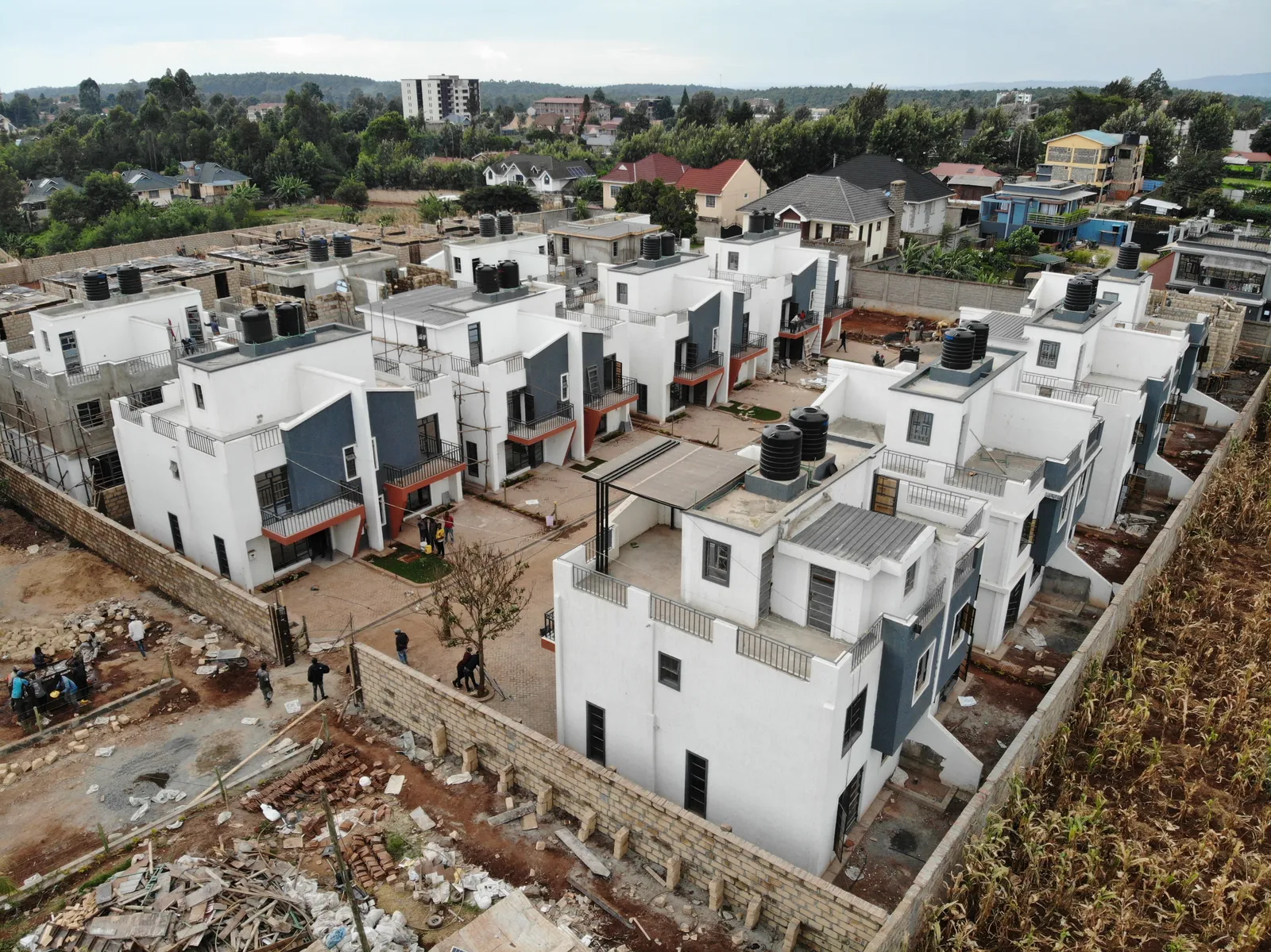 Ananda Estate Kikuyu — Kikuyu