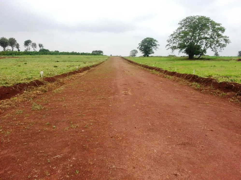 Thika Royal Palms — Thika