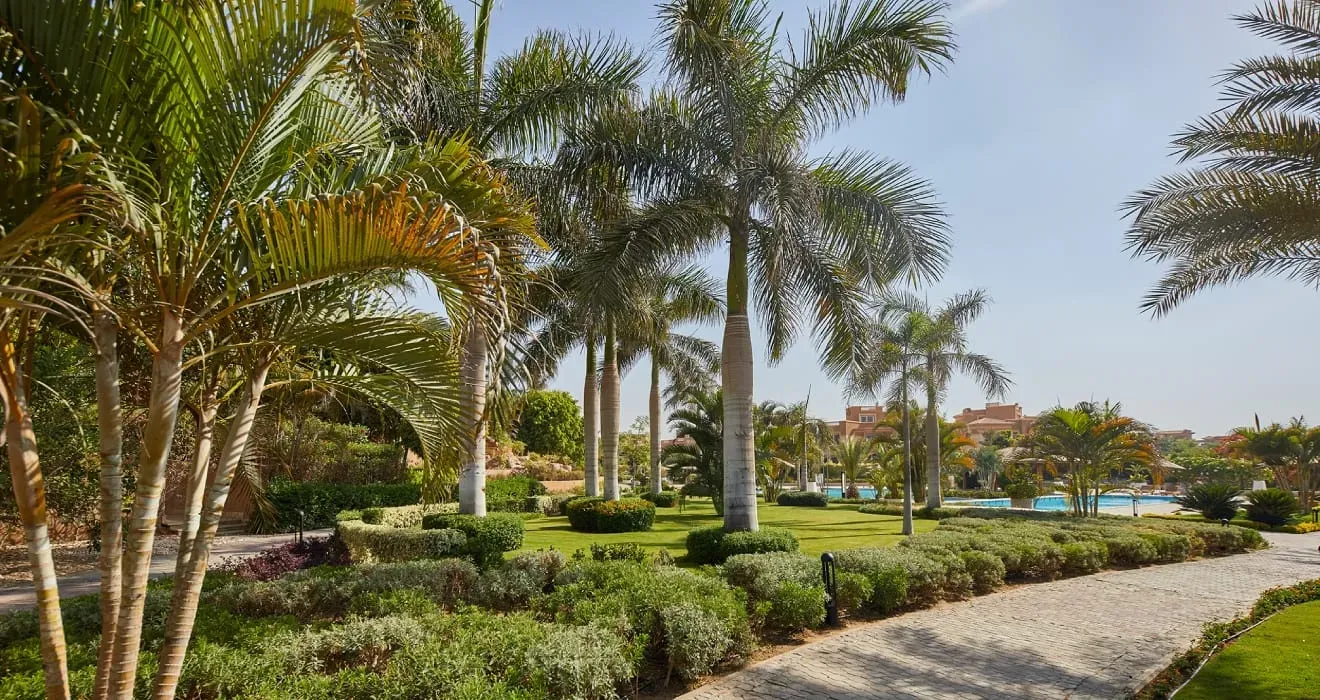 La Nuova Vista — New Cairo