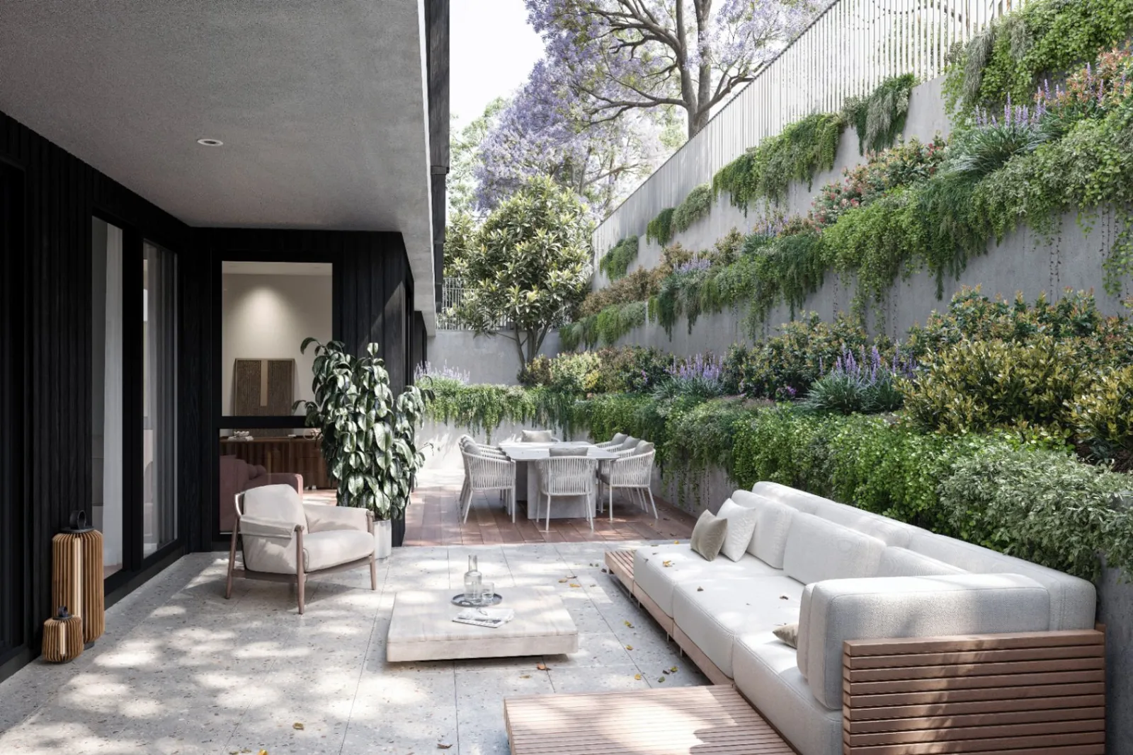 Boronia