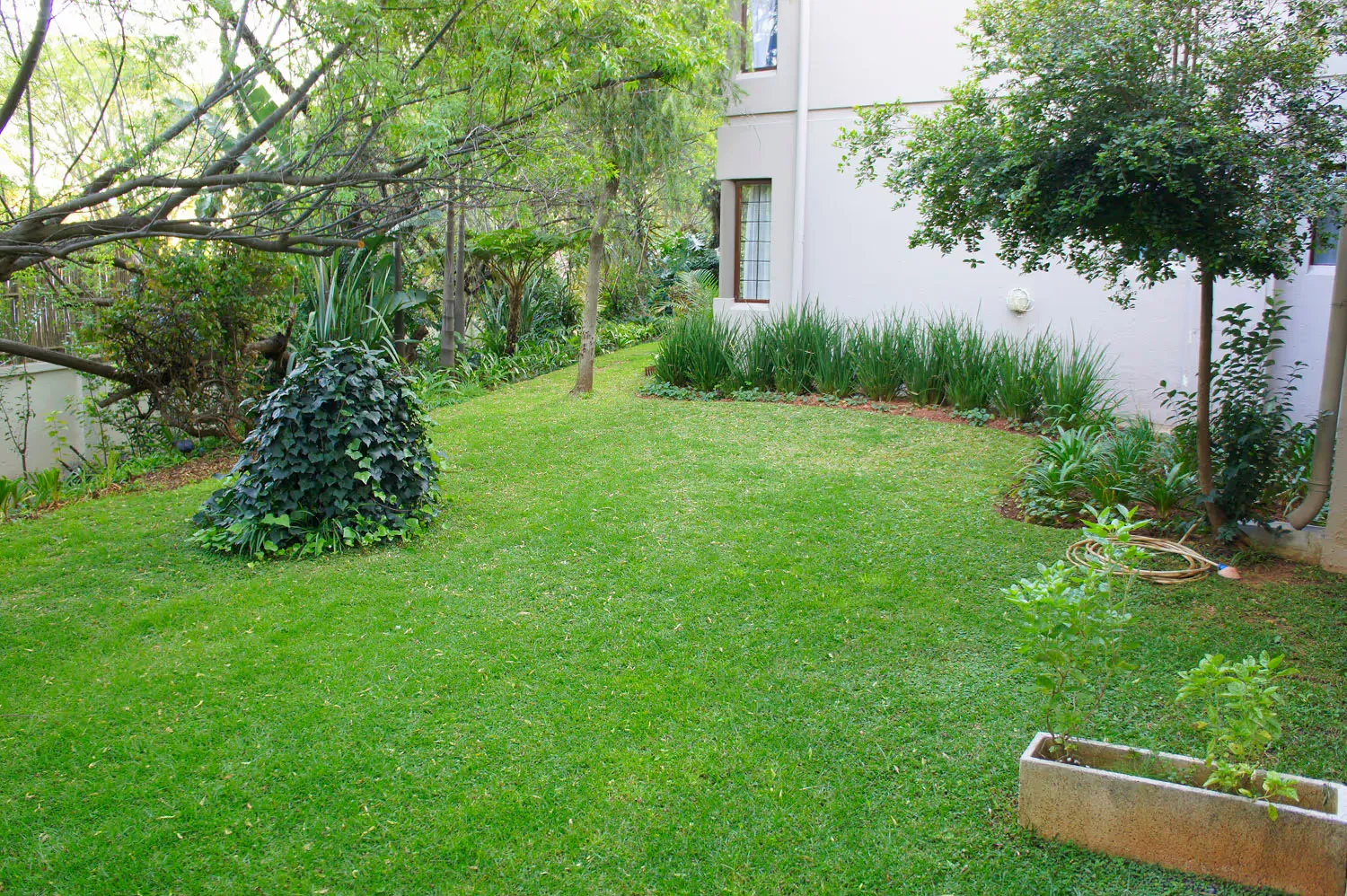 Falcons — Pretoria