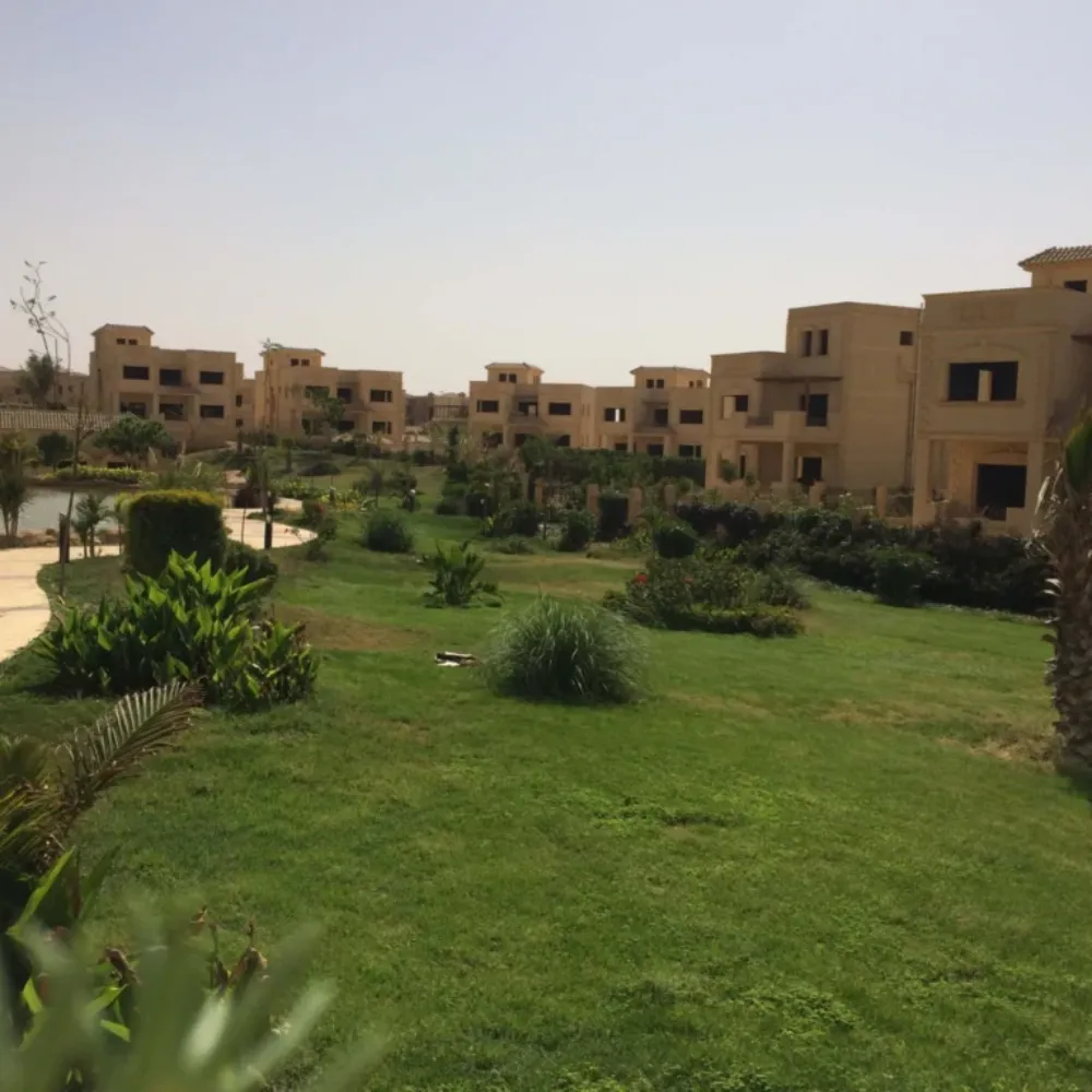 ZIZINIA FLOWERS — Cairo