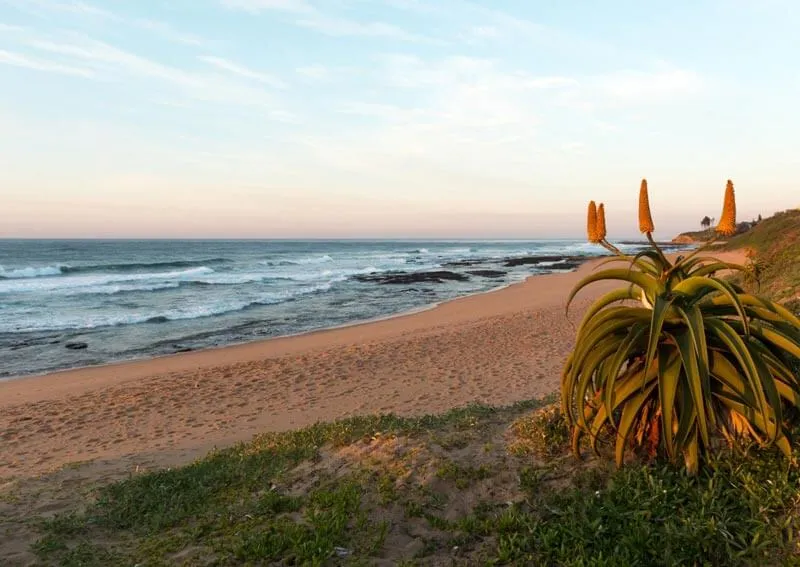 Intaba Terrace Collection — Ballito
