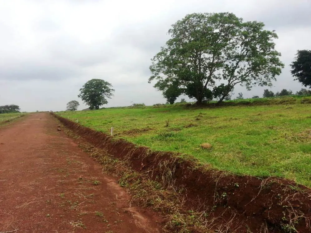 Thika Royal Palms — Thika