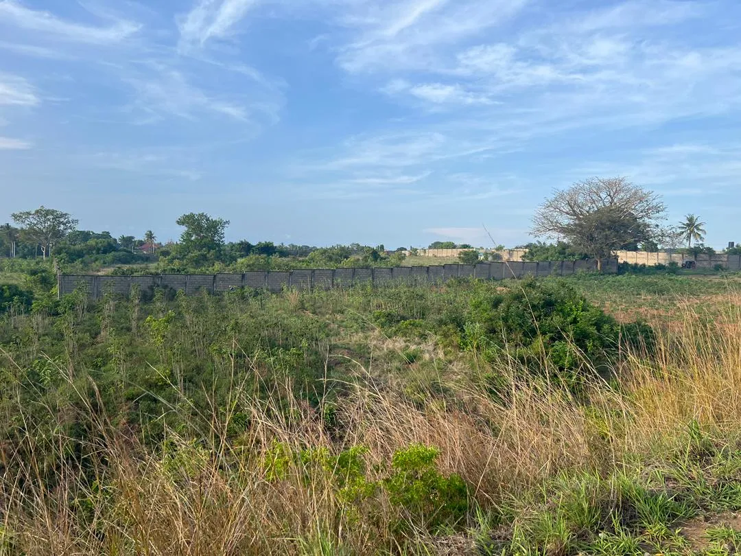 2000 Acres Agricultural Investment Farm for sale in West Kilimanjaro
