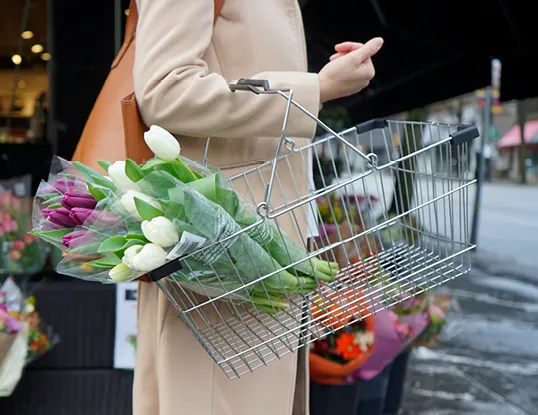 Grocery shopping