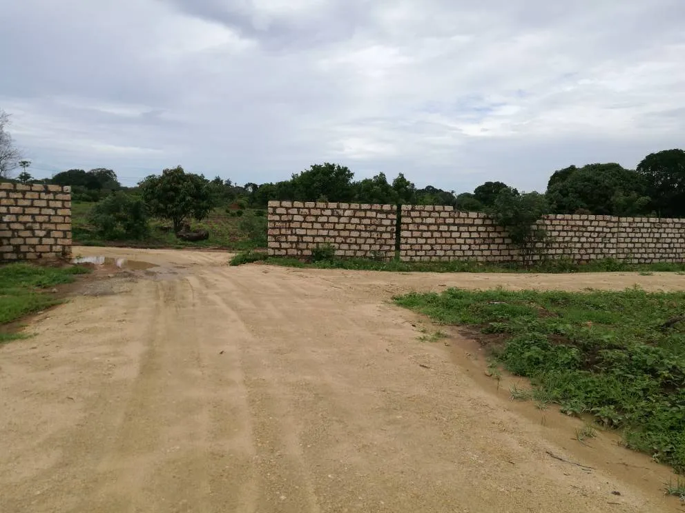 Green Orchards Plots Malindi — Malindi
