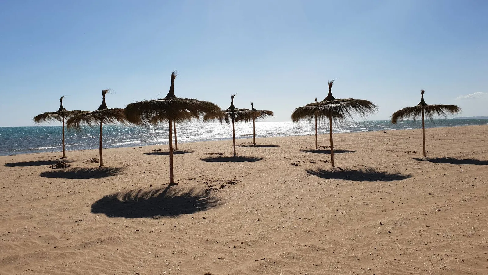 West Gammarth Garden — Gammarth