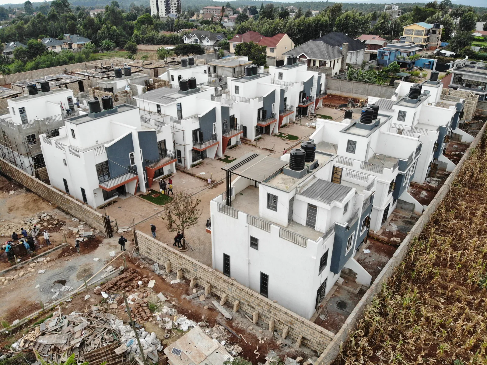Ananda Estate Kikuyu — Kikuyu