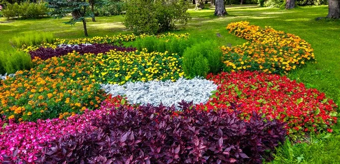 Spectrum Park