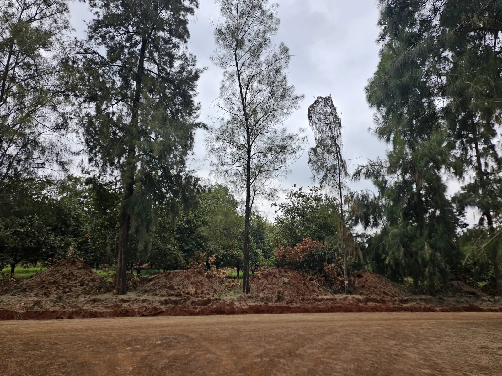 Vantage View Estate by Carol Njama located in Juja