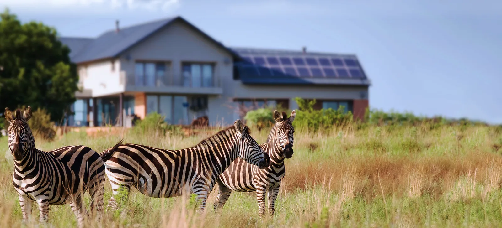 The Hills Game Reserve Lifestyle Estate — Pretoria