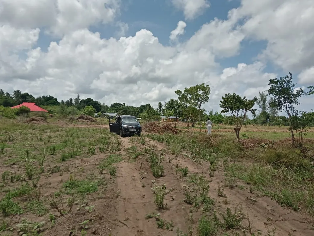 Kikuyu