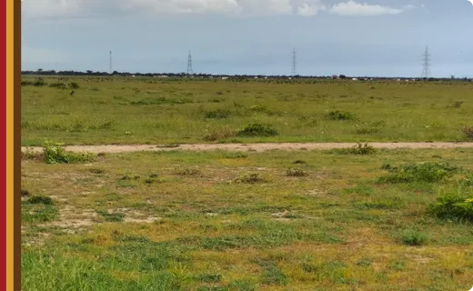 Batian View