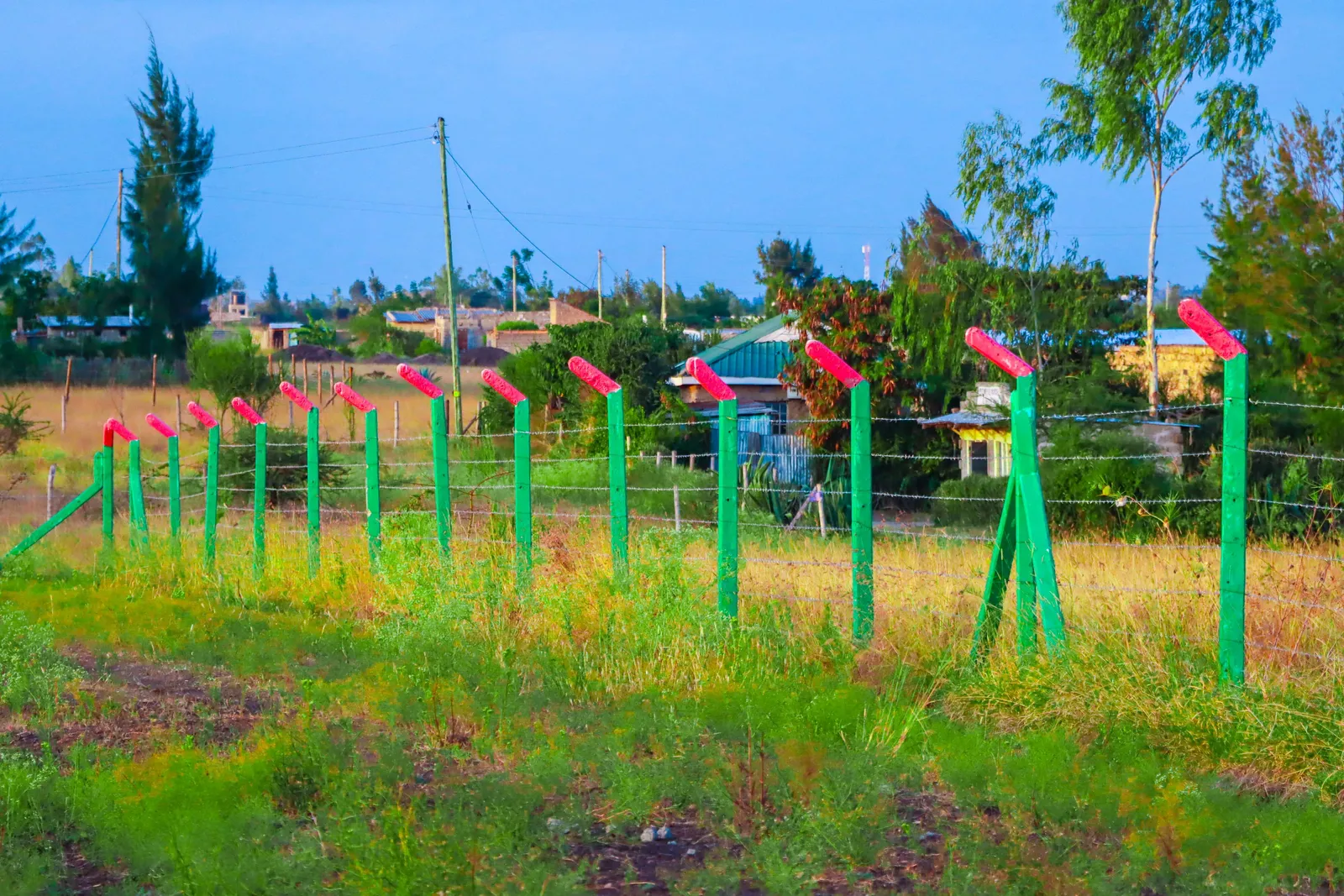 PLOTS FOR SALE IN JOSKA 795K (JOSKA PHASE 36)