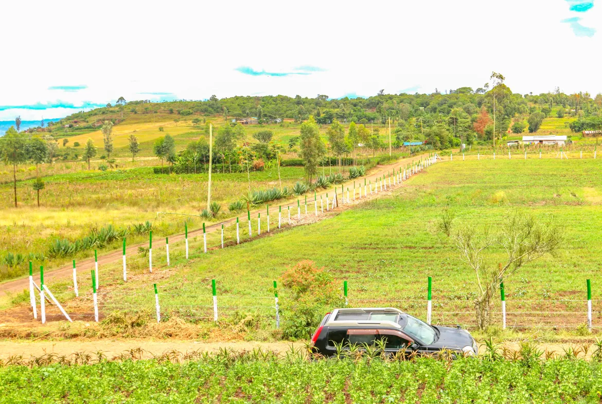 Citrus Grove Estate – Secure 1/8th Acre Plots Near Lake Nakuru — NAKURU