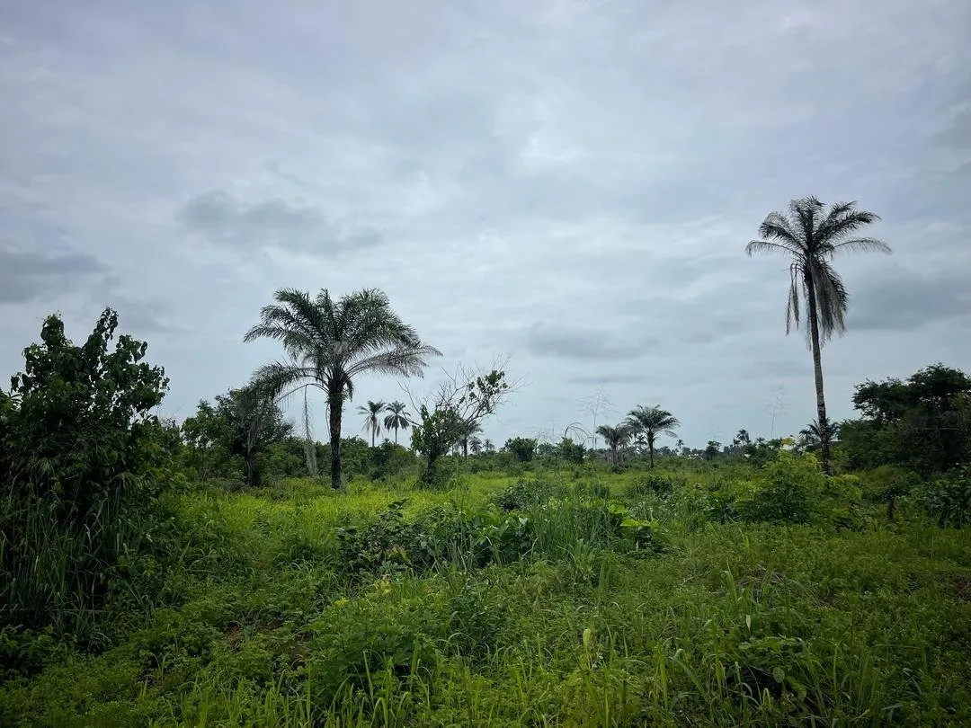 Plots of Land For Sale at Ogbaku Ejemekuru by MC CAPITAL Properties Limited