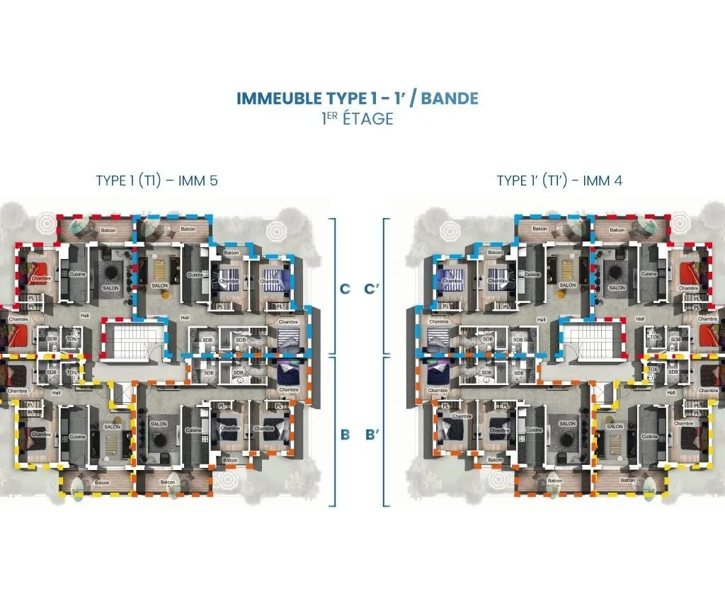 Dyor-tamaris-imm-type-1-bande
