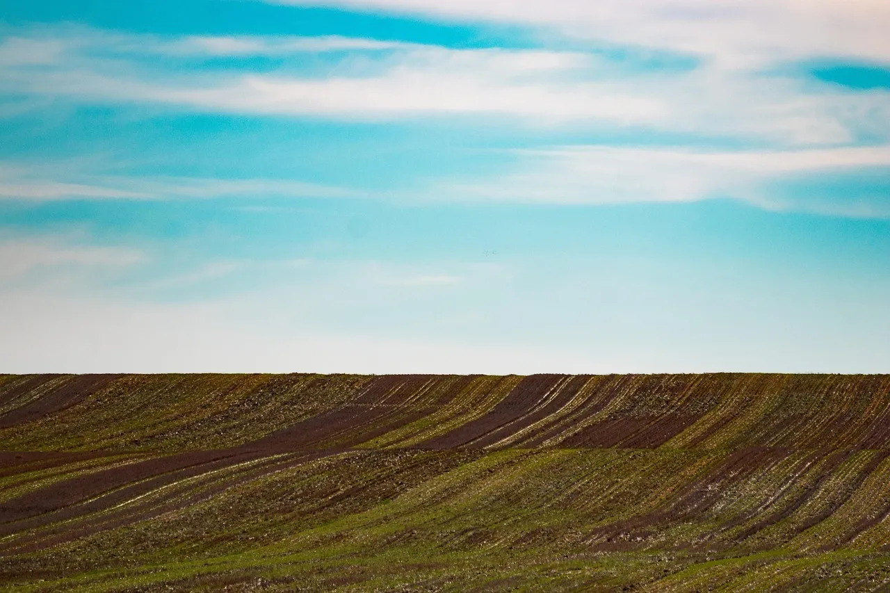 Land Investment
