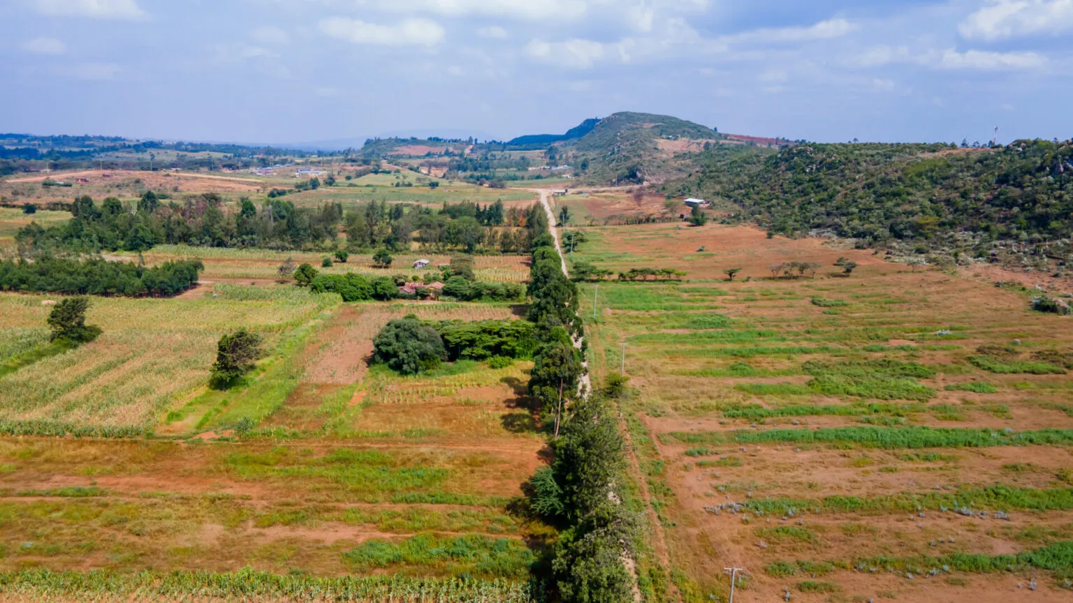 Zahara Gardens