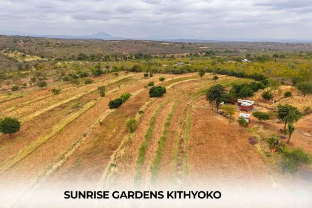Sunrise Gardens Kithyoko