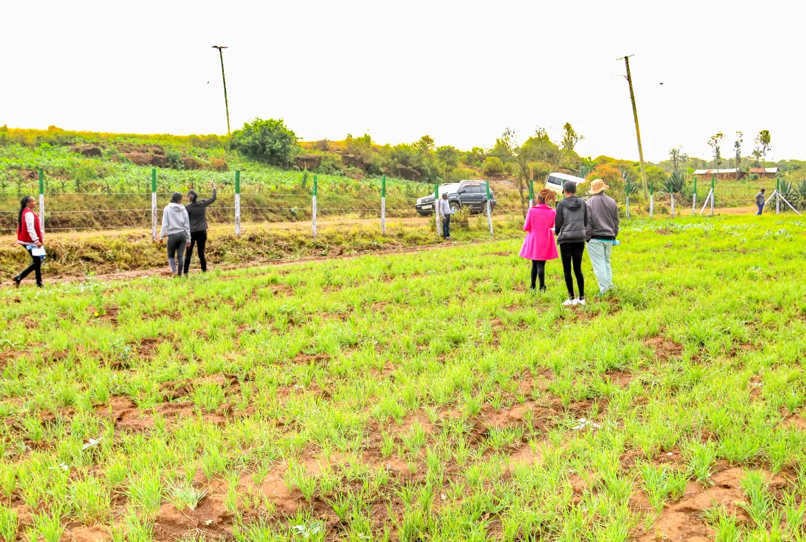 Citrus Grove Estate – Secure 1/8th Acre Plots Near Lake Nakuru — NAKURU