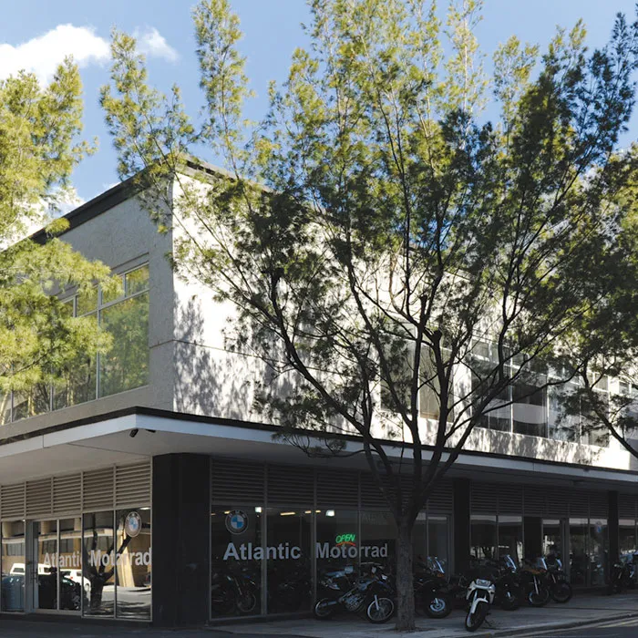 31 Martin Hammerschlag — Cape Town