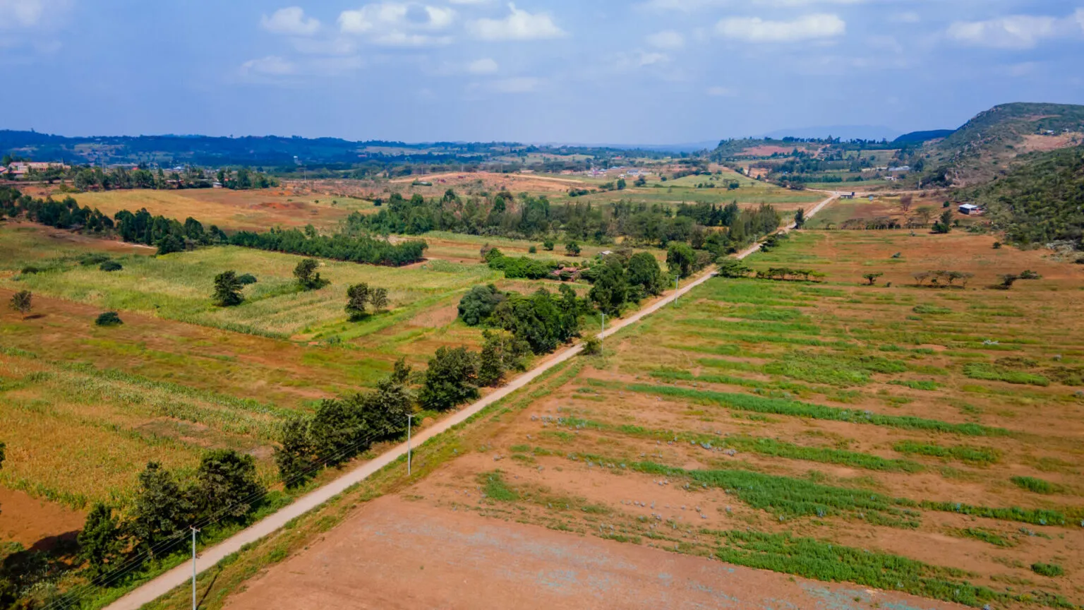 Zahara Gardens — Kikuyu