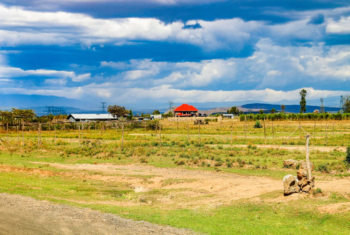 Springfield Estate Nakuru – Scenic 50 by 100 Plots with Stunning Views
