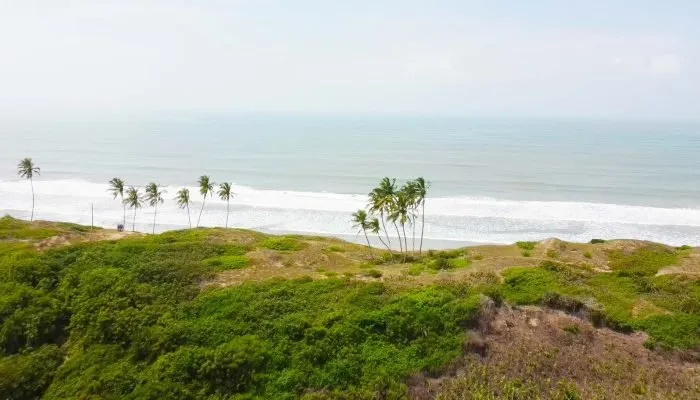 beach front01531