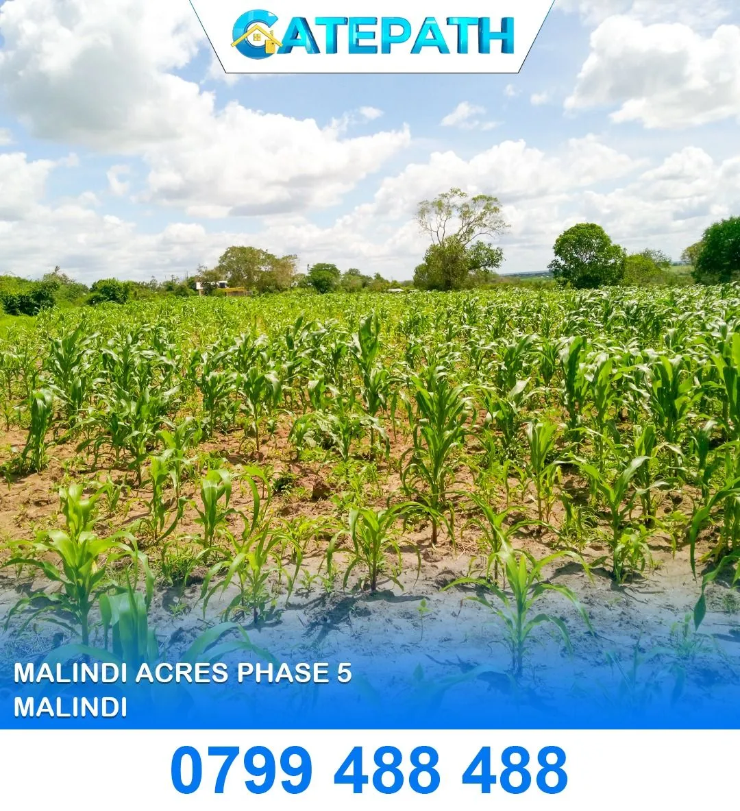 Malindi Acres Phase 5 view 2
