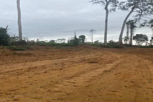 Lena Real Estate - Kribi