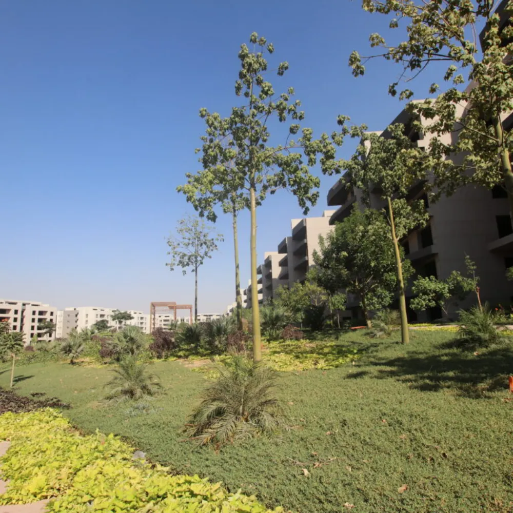 Zizinia El Mostakbal — Cairo