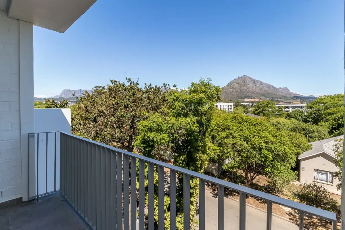The Niche — Stellenbosch