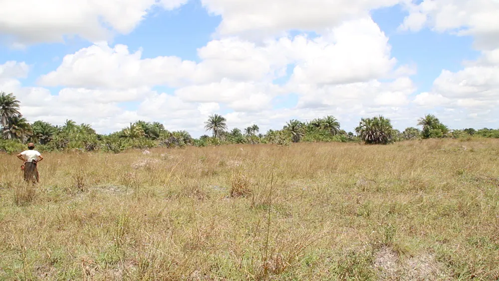 Ukooni Estate — Dar-es-Salaam
