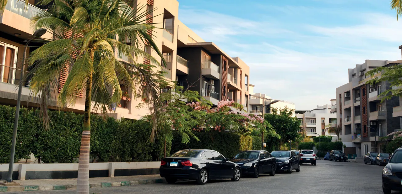 Zayed Complex