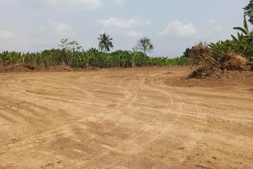 Lena Real Estate - MOULANGA